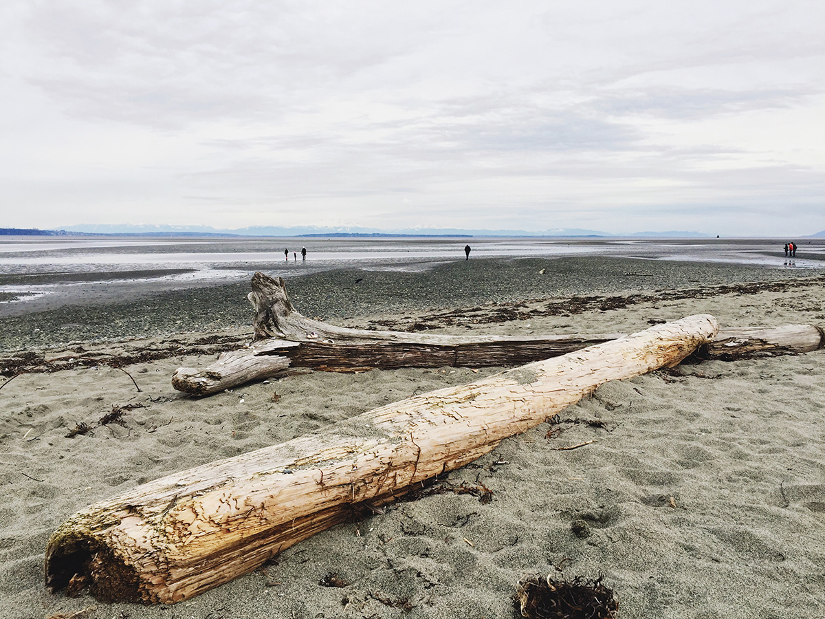 Boundary Bay in South Delta